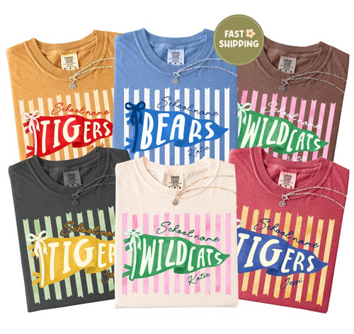 Personalized Teacher School Spirit T-Shirt – Custom School Name & Mascot Shirt